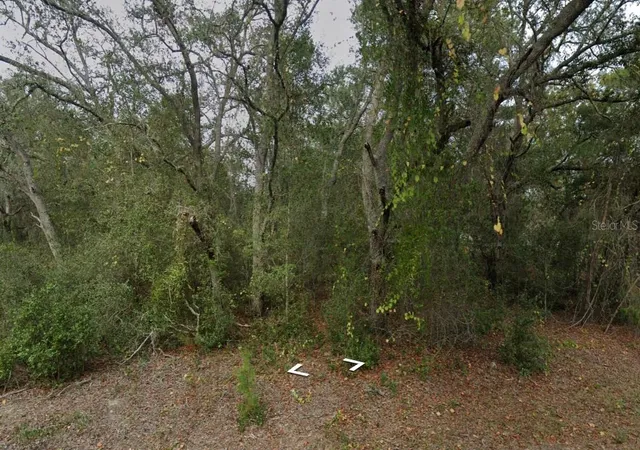 2nd image of Fisher Way Dr Lot 16, Ocklawaha, FL 32179 | MLS# D6147972