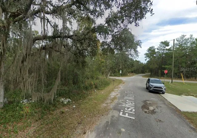 3rd image of Fisher Way Dr Lot 16, Ocklawaha, FL 32179 | MLS# D6147972