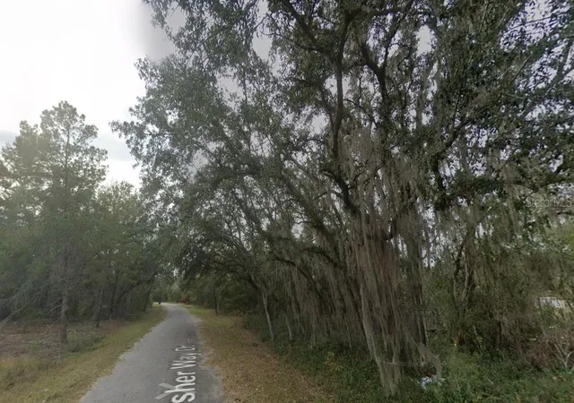 4th image of Fisher Way Dr Lot 16, Ocklawaha, FL 32179 | MLS# D6147972