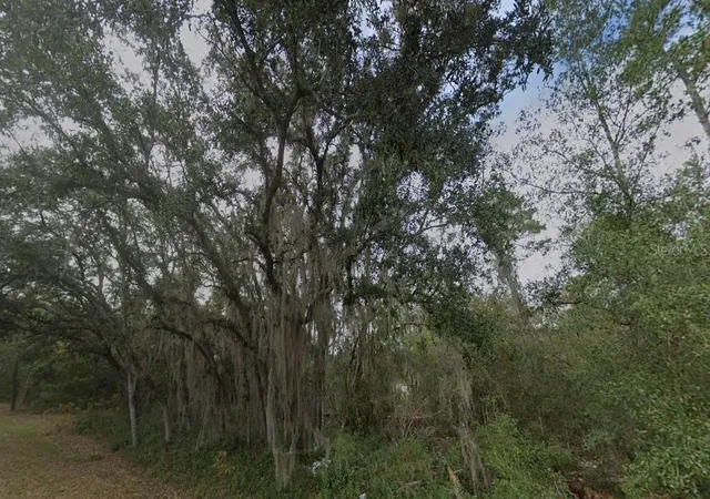 5th image of Fisher Way Dr Lot 16, Ocklawaha, FL 32179 | MLS# D6147972