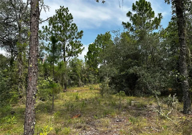 Photo 1 of Land for sale at 150 Se 144th Avenue, Williston, FL 32696 | MLS# OM727834 | Listing updated on 2026-08-03