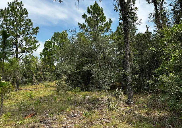 Photo 3 of Land for sale at 150 Se 144th Avenue, Williston, FL 32696 | MLS# OM727834 | Listing updated on 2026-08-03
