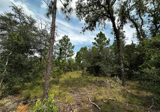 Photo 3 of Land for sale at 150 SE 144th Avenue, Williston, FL 32696 | MLS# OM727834 | Listing updated on 2026-08-03