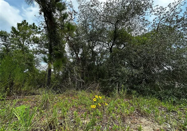 Photo 4 of Land for sale at 150 SE 144th Avenue, Williston, FL 32696 | MLS# OM727834 | Listing updated on 2026-08-03