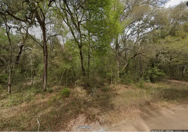 Photo 1 of Land for sale at Lot 8 Unit 7 Blk 42 Buckles Ave, Interlachen, FL 32148 | MLS# OM727836 | Listing updated on 2026-08-07