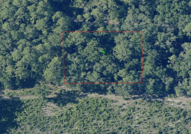 Photo 3 of Land for sale at 7065 W Rainbow St, Dunnellon, FL 34433 | MLS# TB8525529 | Listing updated on 2026-07-30