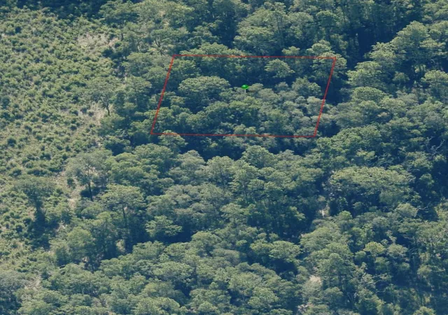 Photo 4 of Land for sale at 7065 W Rainbow St, Dunnellon, FL 34433 | MLS# TB8525529 | Listing updated on 2026-07-30