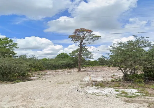 5th image of Woodstork Wy, Frostproof, FL 33843 | MLS# L4963244