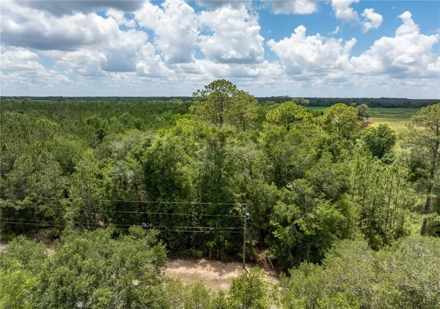 Homes for sale in Fort White, FL | 17198 Sw State Road 47, Fort White, FL 32038 | MLS# GC541660
