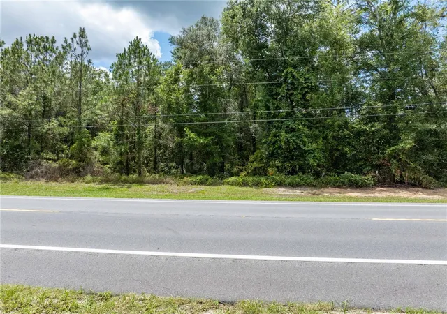 Homes for sale in Fort White, FL | 17198 Sw State Road 47, Fort White, FL 32038 | MLS# GC541660