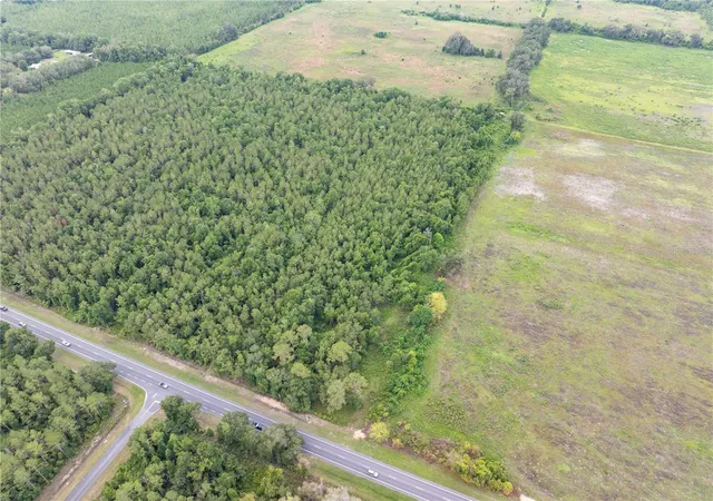 Homes for sale in Fort White, FL | 17198 Sw State Road 47, Fort White, FL 32038 | MLS# GC541660