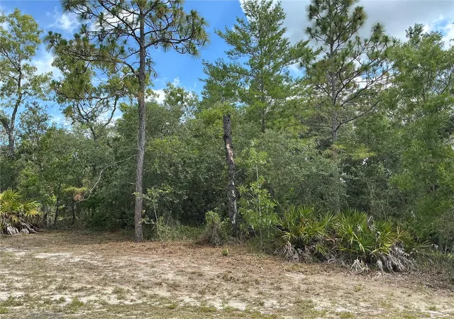 Homes for sale in Weeki Wachee, FL | Persimmon Ave, Weeki Wachee, FL 34614 | MLS# OM727853