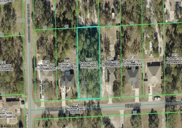 Homes for sale in Weeki Wachee, FL | Persimmon Ave, Weeki Wachee, FL 34614 | MLS# OM727853