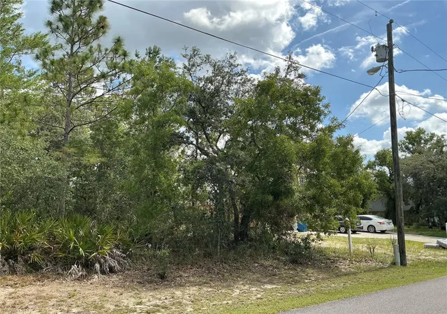 4th image of Persimmon Ave, Weeki Wachee, FL 34614 | MLS# OM727853