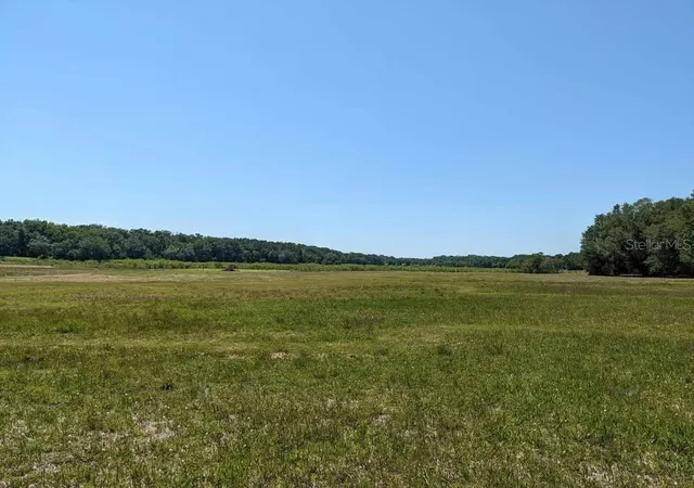 Homes for sale in Chiefland, FL | 00 Nw 60th Ave, Chiefland, FL 32626 | MLS# OM727862