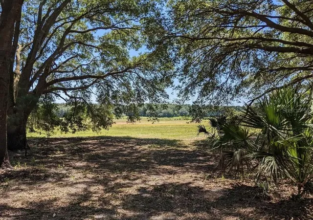 Homes for sale in Chiefland, FL | 00 Nw 60Th Ave, Chiefland, FL 32626 | MLS# OM727862