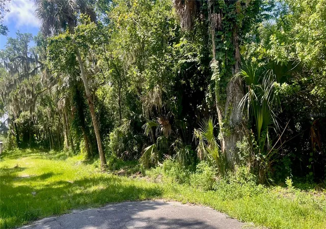 Photo 3 of Land for sale at 420-428 Palmetto St, Edgewater, FL 32132 | MLS# NS1088645 | Listing updated on 2026-07-03