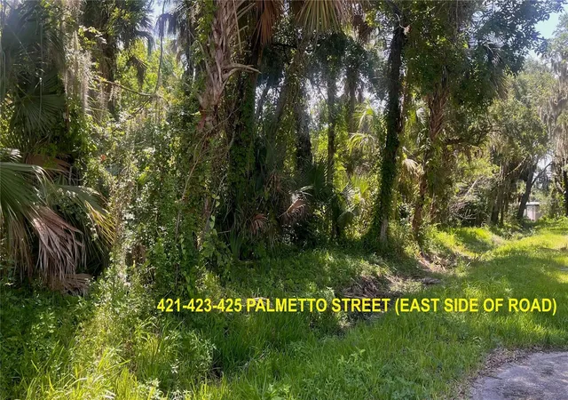 Photo 4 of Land for sale at 420-428 Palmetto St, Edgewater, FL 32132 | MLS# NS1088645 | Listing updated on 2026-07-03