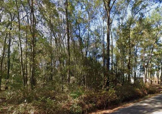 Homes for sale in Tallahassee, FL | Iamonia Landing Rd, Tallahassee, FL 32312 | MLS# TB8525667