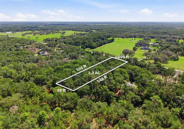 Homes for sale in Dade City, FL | Mckethan Rd, Dade City, FL 33523 | MLS# TB8525668