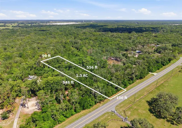 Homes for sale in Dade City, FL | Mckethan Rd, Dade City, FL 33523 | MLS# TB8525668