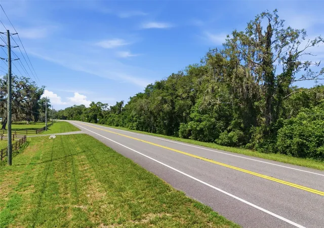 Homes for sale in Dade City, FL | Mckethan Rd, Dade City, FL 33523 | MLS# TB8525668