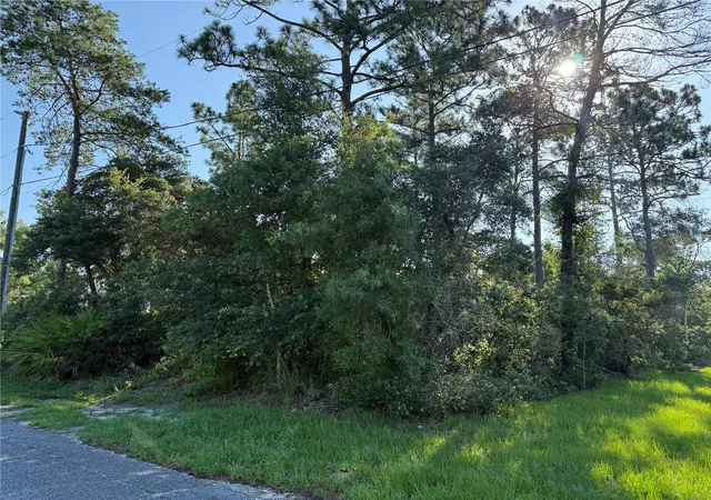 1st image of Hickory Ave, Orange City, FL 32763 | MLS# V4950019