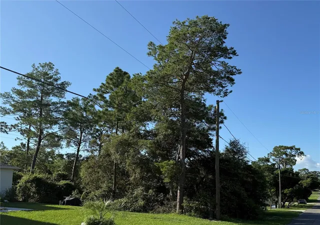 2nd image of Hickory Ave, Orange City, FL 32763 | MLS# V4950019