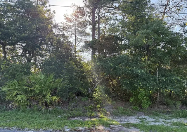3rd image of Hickory Ave, Orange City, FL 32763 | MLS# V4950019