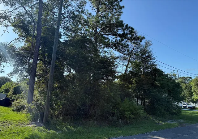 4th image of Hickory Ave, Orange City, FL 32763 | MLS# V4950019