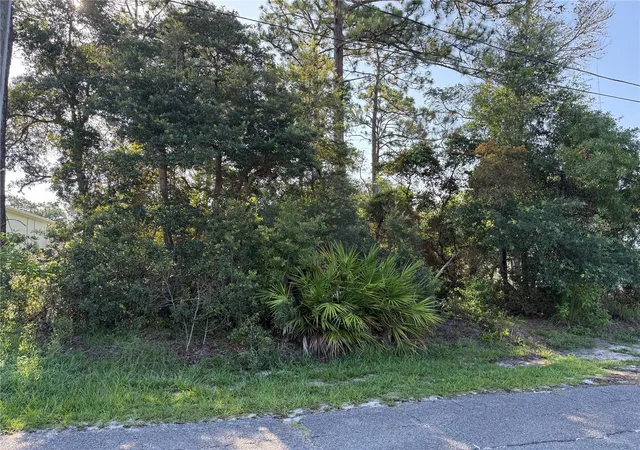 5th image of Hickory Ave, Orange City, FL 32763 | MLS# V4950019