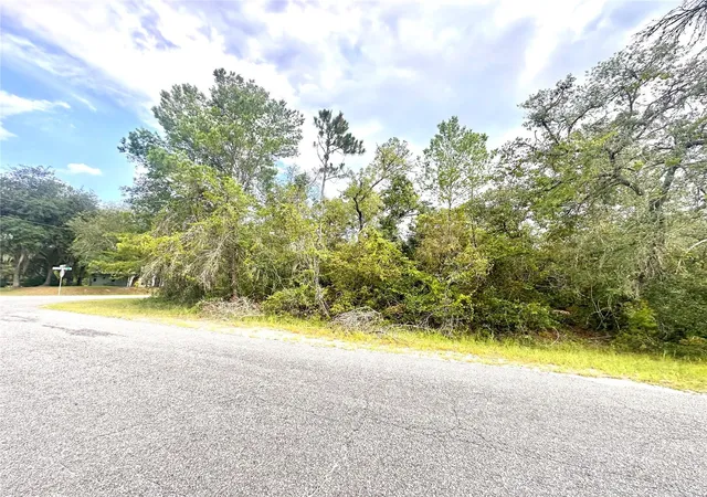 Photo 2 of Land for sale at Saffron Ave, Eustis, FL 32736 | MLS# O6422126 | Listing updated on 2026-07-18