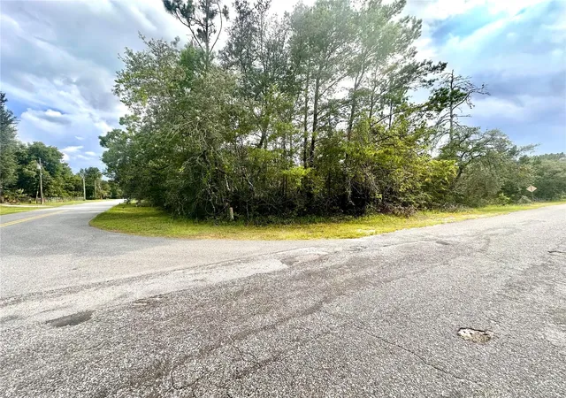 Photo 3 of Land for sale at Saffron Ave, Eustis, FL 32736 | MLS# O6422126 | Listing updated on 2026-07-18