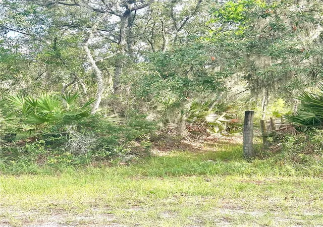 Photo 3 of Land for sale at Saffron Ave, Eustis, FL 32736 | MLS# O6422126 | Listing updated on 2026-07-18