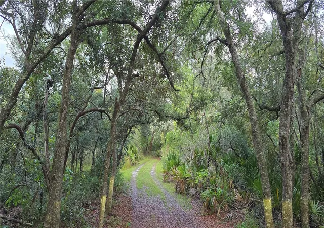 Photo 3 of Single family home for sale at 6150 Sw 126th Avenue, Cedar Key, FL 32625 | MLS# O6422136 | Listing updated on 2026-09-24