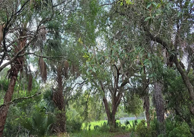 Photo 3 of Single family home for sale at 6150 SW 126th Avenue, Cedar Key, FL 32625 | MLS# O6422136 | Listing updated on 2026-09-24