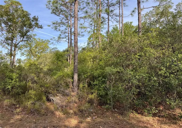 Homes for sale in Bronson, FL | Tbd Ne 76th, Bronson, FL 32621 | MLS# GC541673
