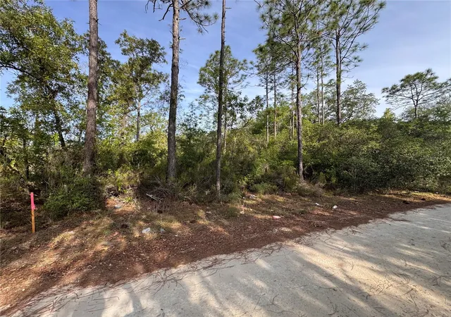 Homes for sale in Bronson, FL | Tbd Ne 76th, Bronson, FL 32621 | MLS# GC541673