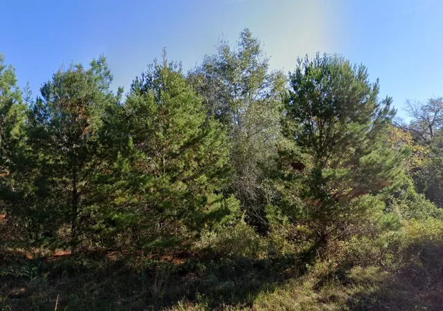 Homes for sale in Chipley, FL | Parkview Lot 13 Dr, Chipley, FL 32428 | MLS# D6147980