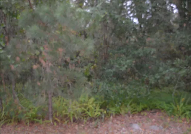 2nd image of 0 Lincoln Street, Sanford, FL 32771 | MLS# O6422176