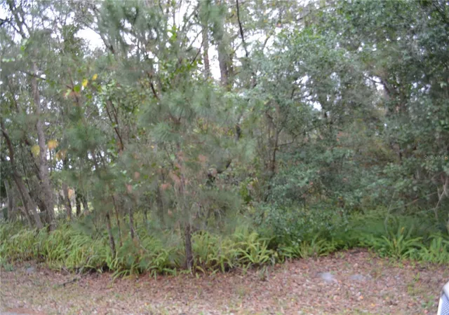 Photo 3 of Land for sale at 0 Lincoln St, Sanford, FL 32771 | MLS# O6422176 | Listing updated on 2026-08-11