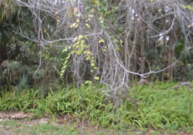 4th image of 0 Lincoln Street, Sanford, FL 32771 | MLS# O6422176