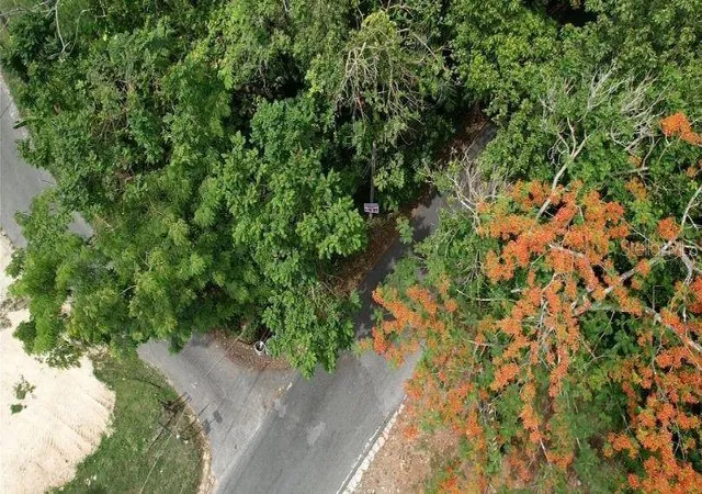 Homes for sale in Morovis, PR | (Undisclosed), Morovis, PR 00687 | MLS# PR9122536