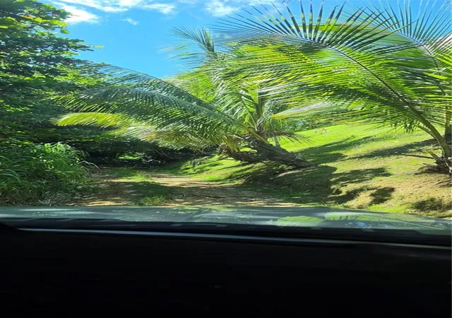 Homes for sale in Rincon, PR | Puntas Paradise   Calle Vista Del Mar, Rincon, PR 00677 | MLS# PR9122540