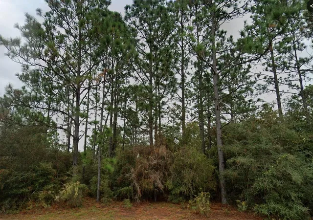 Homes for sale in Chipley, FL | Deltona Blvd, Chipley, FL 32428 | MLS# D6147984