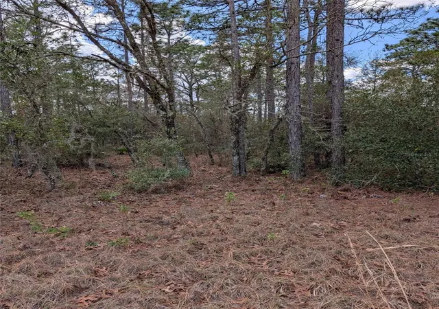 Photo 1 of Land for sale at 0 Sw 90th Street, Dunnellon, FL 34432 | MLS# OM727908 | Listing updated on 2026-07-04