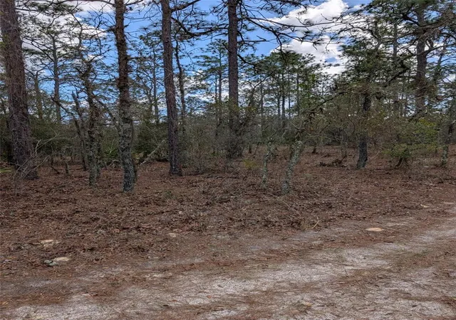 Photo 2 of Land for sale at 0 Sw 90th Street, Dunnellon, FL 34432 | MLS# OM727908 | Listing updated on 2026-07-04