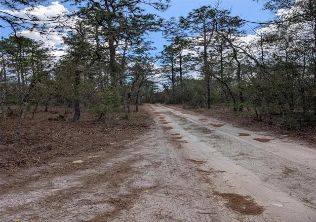Photo 3 of Land for sale at 0 Sw 90th Street, Dunnellon, FL 34432 | MLS# OM727908 | Listing updated on 2026-07-04