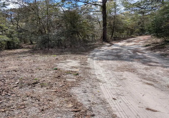 Photo 3 of Land for sale at 0 SW 90th Street, Dunnellon, FL 34432 | MLS# OM727908 | Listing updated on 2026-07-04