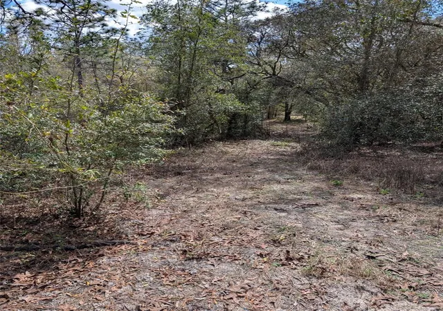 Photo 4 of Land for sale at 0 SW 90th Street, Dunnellon, FL 34432 | MLS# OM727908 | Listing updated on 2026-07-04